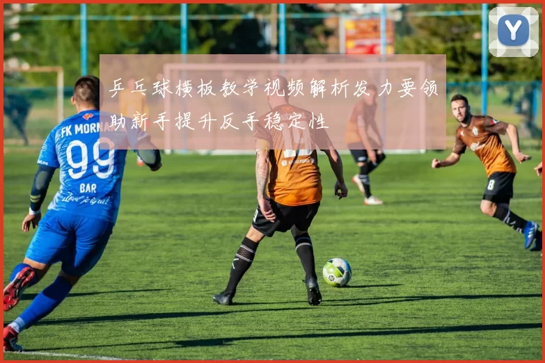 乒乓球横板教学视频解析发力要领助新手提升反手稳定性