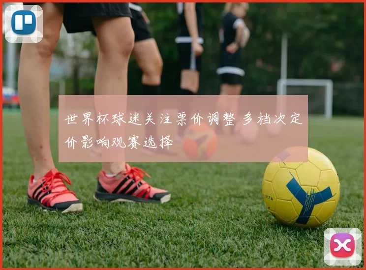 世界杯球迷关注票价调整 多档次定价影响观赛选择