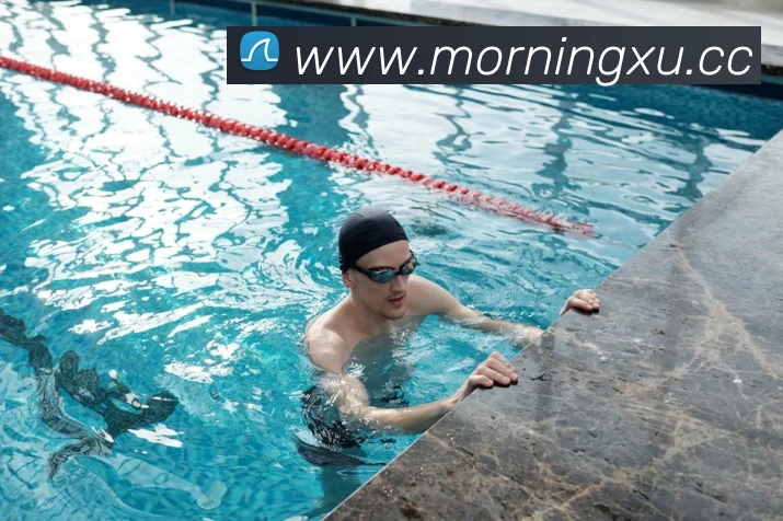 App Interface Preview