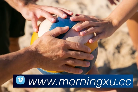 开云手机站登录入口 - 开云online(中国)APP 封面图